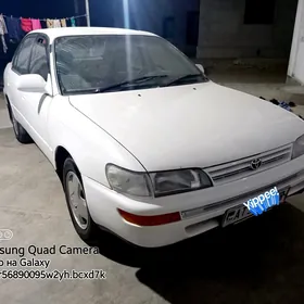 Toyota Corolla 1995
