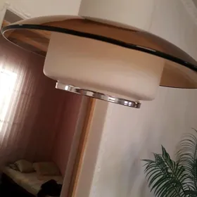 люустра