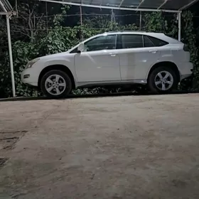 Lexus RX 330 2004