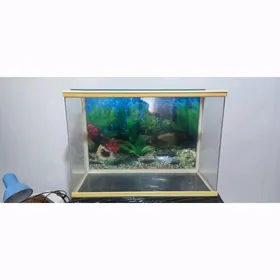 аквариум