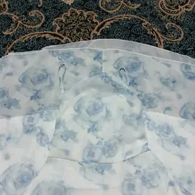 Lyamka koynrjikler
