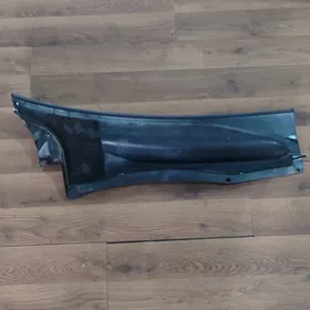 Babyçka dwornik plasmas