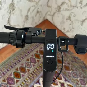 scooter