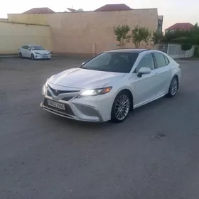 Toyota Camry 2021