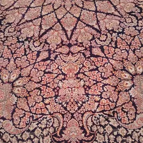 iran hali