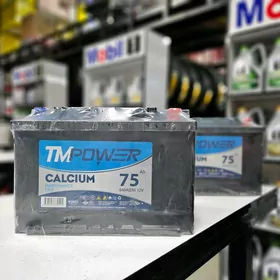TM POWER 75AH