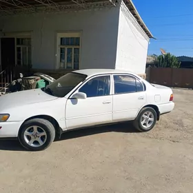 Toyota Corolla 1995
