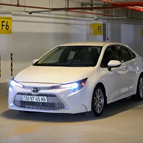 Toyota Corolla 2020