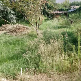 дом в Багире