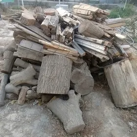 odun üçin agaçlar
