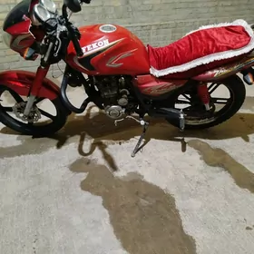 Fekon FK150-8G 2016
