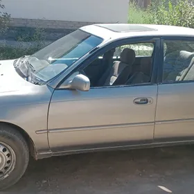 Toyota Corolla 1995