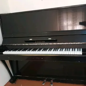 pianina Kuban
