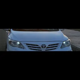 carolla fara 2012