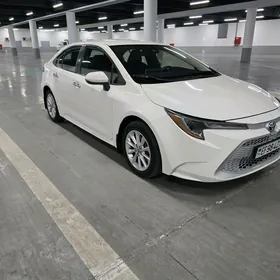 Toyota Corolla 2019