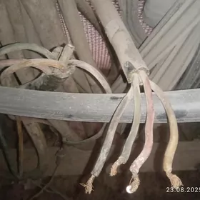 Mis kabel