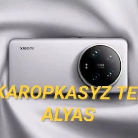KAROPKASYZ TEL ALYAS 16PRO S25