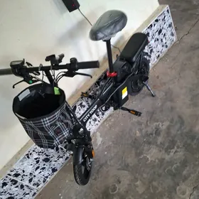 samakat taze arginal dubaýski