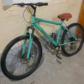 Turkmenistan tigir