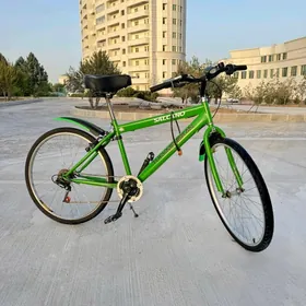 tigir Turkmenistan Salcano