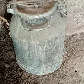 Alumin pilyak