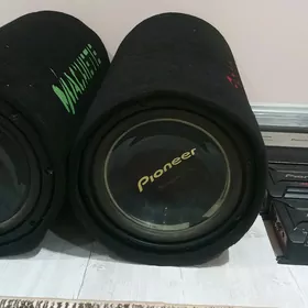 pioner sambufer
