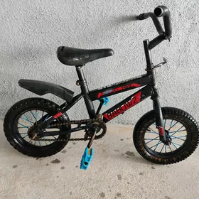 çaga tigir