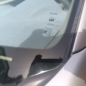 Toyota Sienna 2005