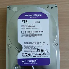 Žostkiý disk 2.0 terrabaýt
