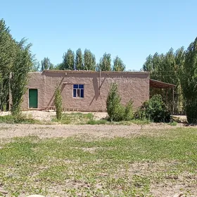 satlyk jaý Akdepe