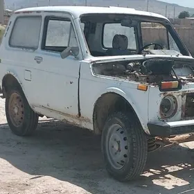 niwa zapcaslary lada zapcaslar