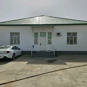 kopetdagyn yalkymy gokdepe jay