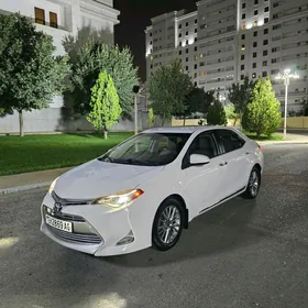Toyota Corolla 2019