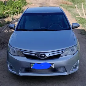 Toyota Camry 2013