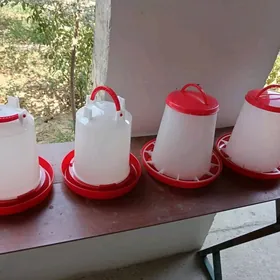 Juyje towuk un suw iym berilya