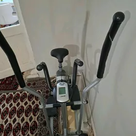 Sport lyja
