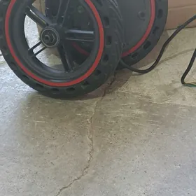 skuter teker tokly