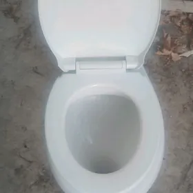 untas