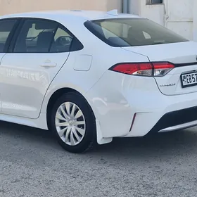 Toyota Corolla 2021