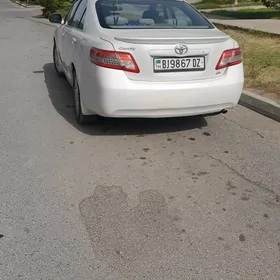 Toyota Camry 2010