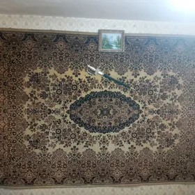 Кавёр Бельгинский