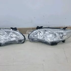 fara karolla 11 13
