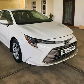 Toyota Corolla 2021