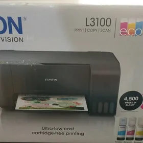 Epson L3100 switnoy printer