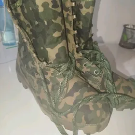 sapok
