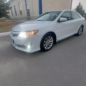 Toyota Camry 2014