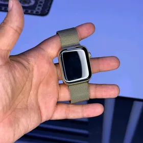 apple watch 6seria stainless