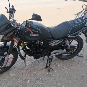 Fekon FK150-8G 2015