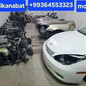 Morda Toyota