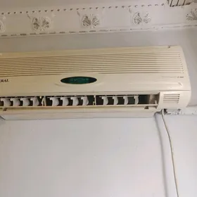 kondisaner genlar arginal muts